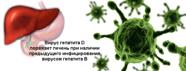 Гепатит Д: що це таке, як передається і як лікувати гепатит дельта