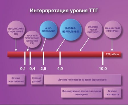 Гормони щитовидної залози у жінок. Таблиця і норма