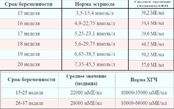 15 тиждень вагітності.  Відчуття в животі, ворушіння, розвиток плода, фото на УЗД