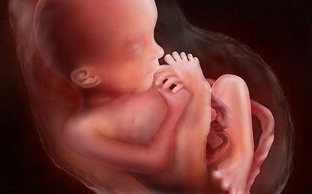 17 тиждень вагітності: що відбувається на цьому тижні?