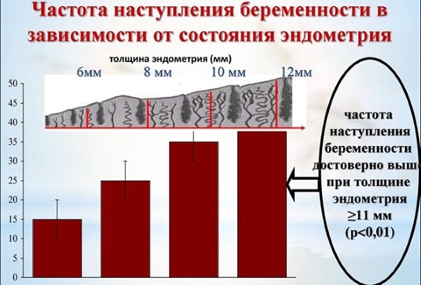 7 тиждень вагітності акушерська.  Розвиток плода і відчуття, що відбувається, фото живота