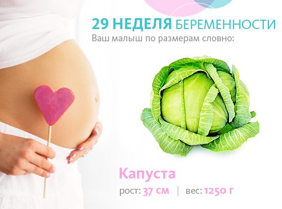 вагітність 29 тижнів