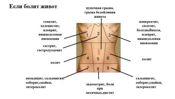 Хвороби в залежності від локалізації болю