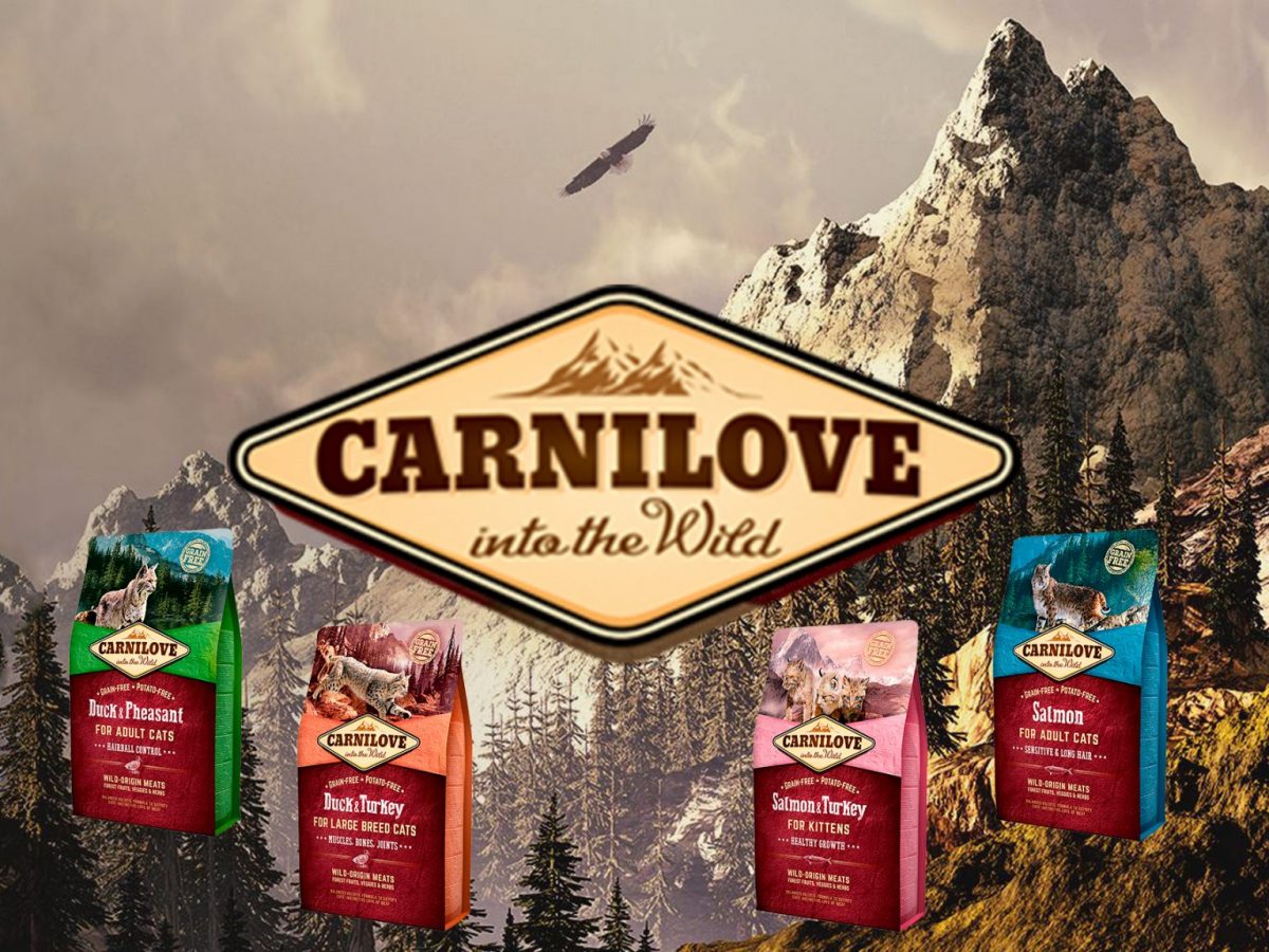 Carnilove для стерилизованных кошек