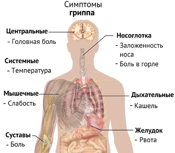 Цітовір-3 (Cytovir-3) для дітей.  Відгуки, інструкція із застосування, аналоги