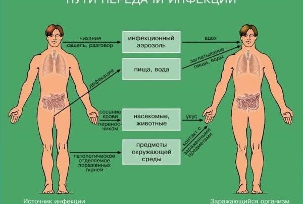 Чи можна капати Диоксидин в ніс при нежиті: огляд інструкції, лікувальної практики та відгуків