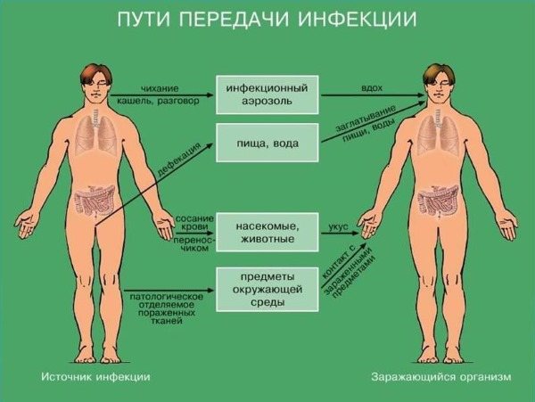 Чи можна капати Диоксидин в ніс при нежиті: огляд інструкції, лікувальної практики та відгуків