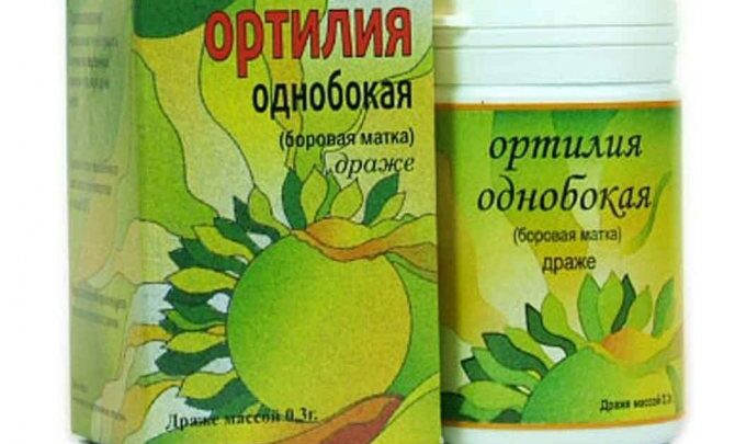 Борова Матка – лікувальні властивості і протипоказання, відгуки