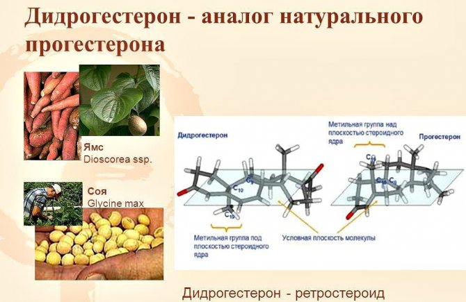 дюфастон при плануванні вагітності