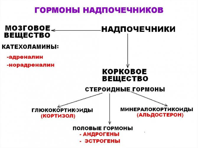 дюфастон при плануванні вагітності