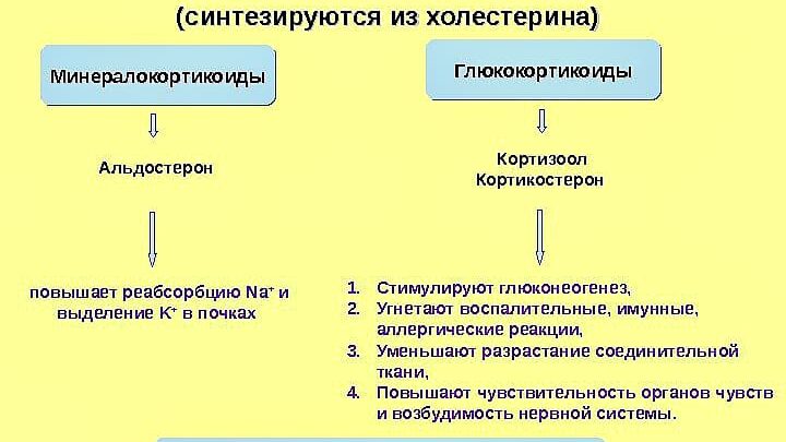 Дюфастон – інструкція із застосування, ціна, відгуки, аналоги. Таблетки Дюфастон при плануванні вагітності, відгуки