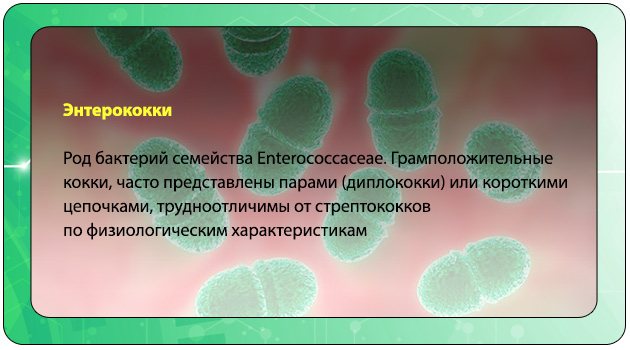 Лінекс інструкція із застосування, протипоказання, побічні ефекти, відгуки