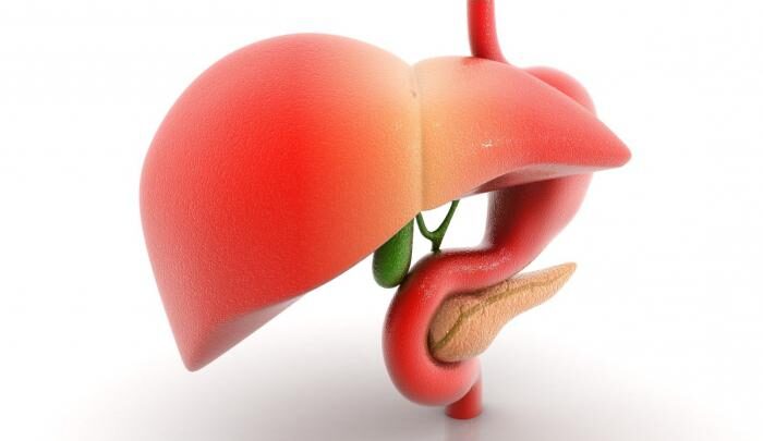 Есслівер Форте: інструкція із застосування, склад і показання, аналоги та відгуки