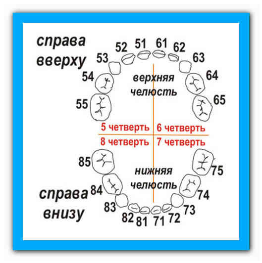 За якою формулою можна розрахувати кількість молочних зубів