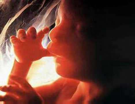 фото плода на 13-му тижні вагітності