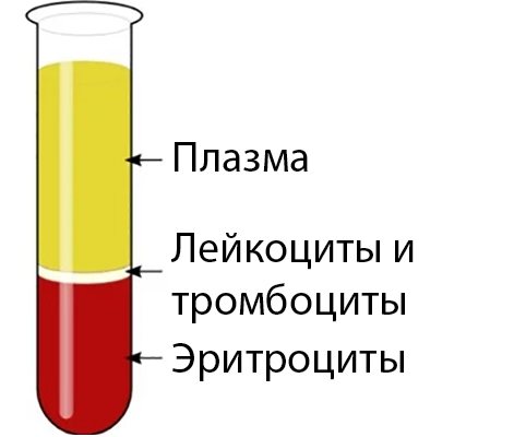 гематокрит