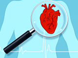 Особливості проведення процедури УЗД серця