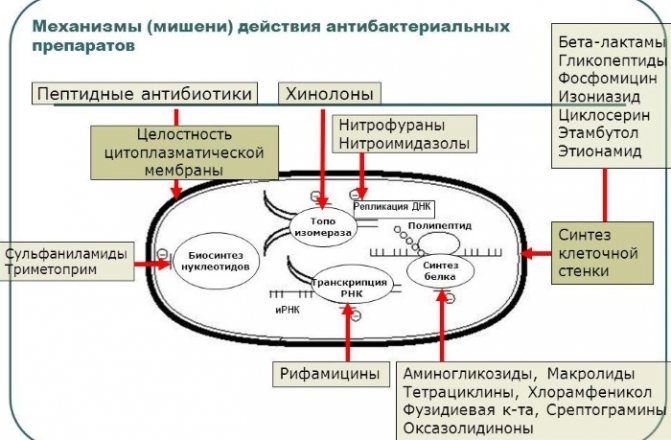 Граммидин (Grammidin) таблетки для розсмоктування.  Інструкція по застосуванню для дітей, дорослих, ціни