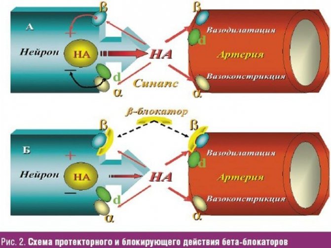 Ішемічна хвороба серця.  Симптоми і лікування, ознаки, рекомендації