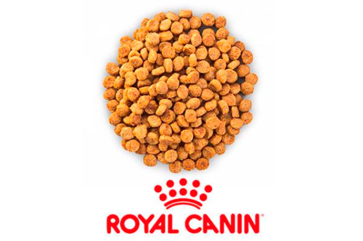 Качественный корм для собак Royal Canin