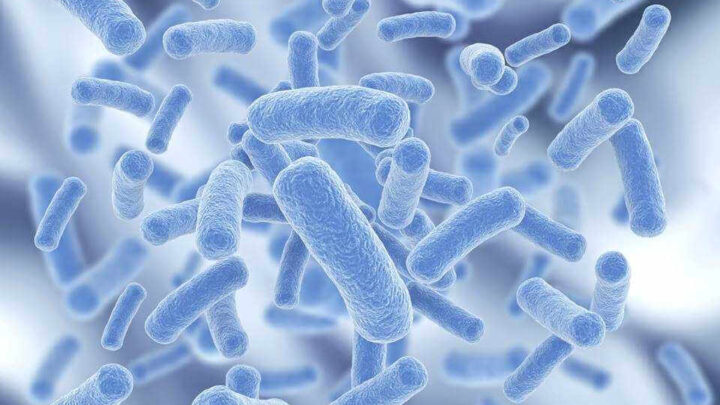 Через скільки починає діяти ентеросгель при різних видах отруєнь