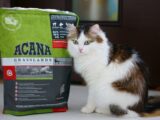 Аскана пакет корма для кошек