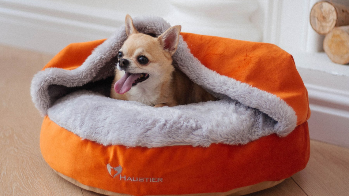 Комфорт и уют: идеальные лежанки для собак от ZooLeader