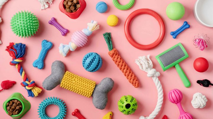 ТОП-5 інтернет-зоомагазинів України 2026: повне порівняння асортименту та цін