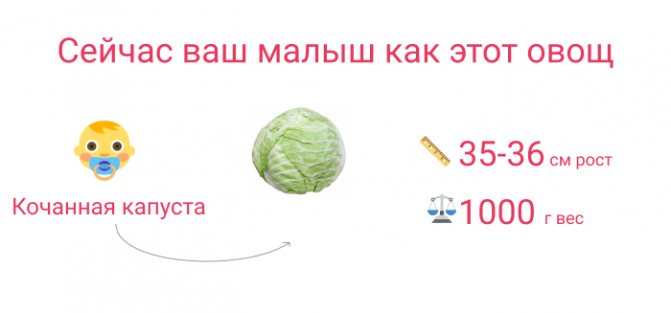 малюк на 28 тижні вагітності