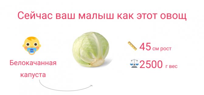 малюк на 35 тижні вагітності