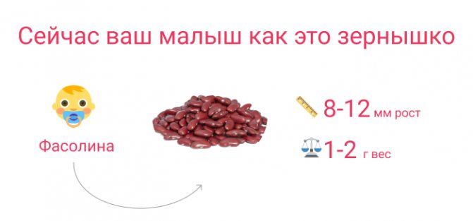 малюк на 7 тижні вагітності