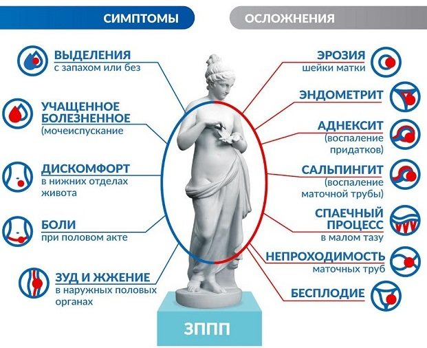 Мазок на флору у жінок.  Норма, таблиця, розшифровка лейкоцити, еритроцити, коки, при вагітності