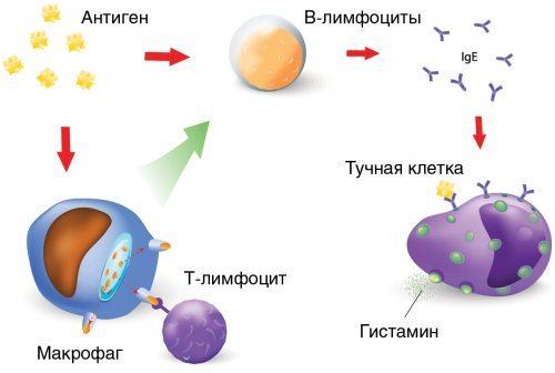 Механізм дії антидепресантів