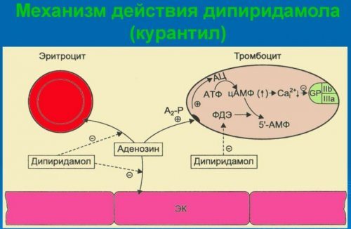 Механізм дії препарату