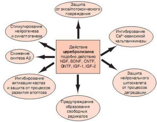 Механізм дії уколів