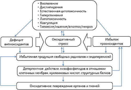 Механізм дії речовини