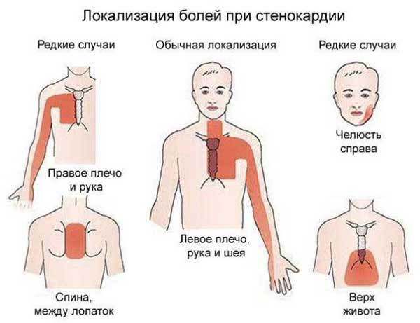 Чим відрізняється метопролол сукцинат від метопрололу тартрат