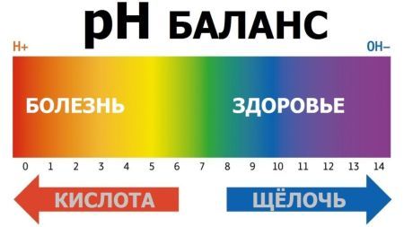 Загальний аналіз сечі: норма у жінок, чоловіків та дітей, розшифровка, підготовка до дослідження