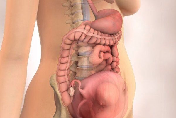 22 тиждень вагітності: що відбувається на цьому тижні?