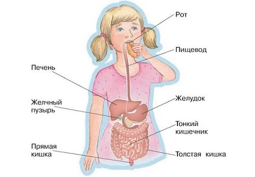 гострий ентерит