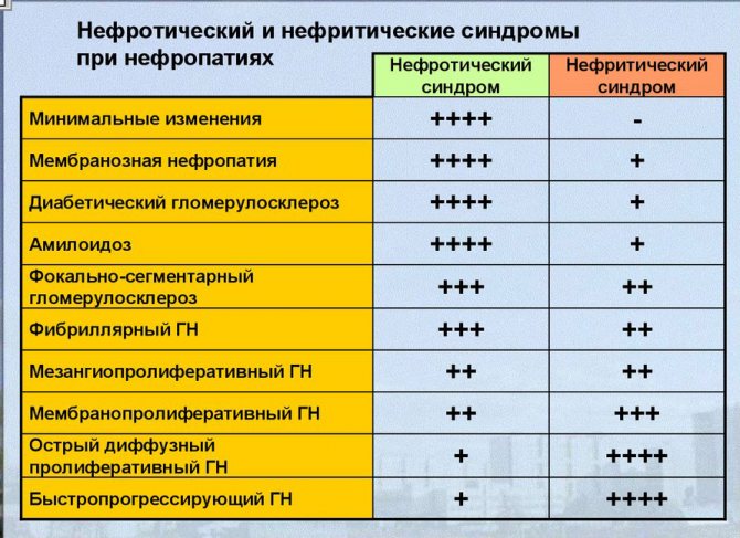 відмінності нефротичного і нефритичного