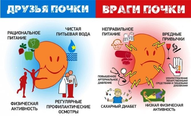 Ниркова недостатність.  Симптоми у жінок, гостра, хронічна, термінальна, преренальная.  Стадії, ознаки, причини і лікування