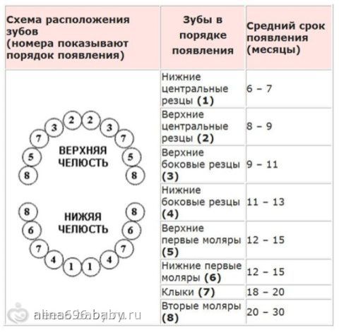 Про зуби питання