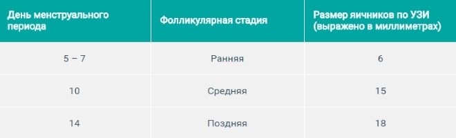 Як підготуватися до УЗД органів малого таза у жінок і чоловіків