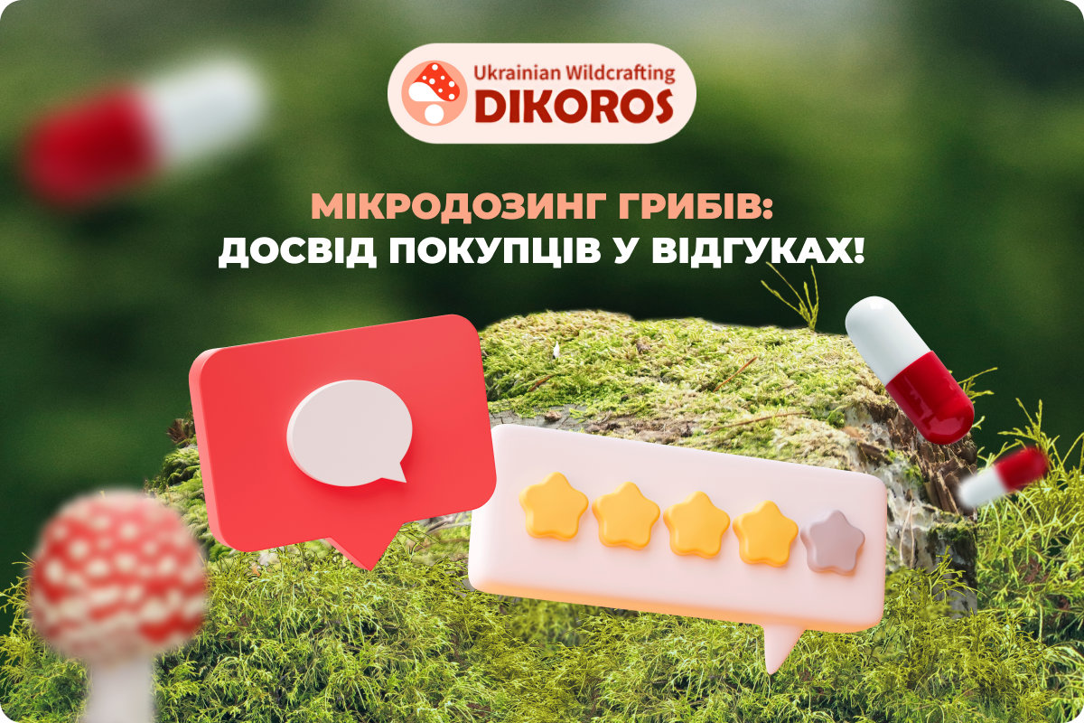 Сайт дикорослих грибів