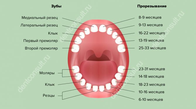 схема