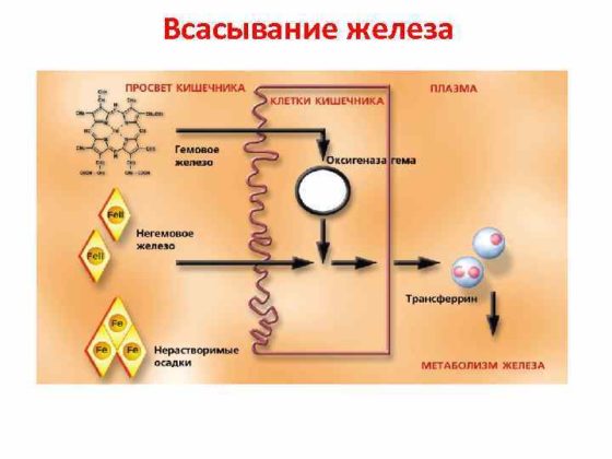 схема