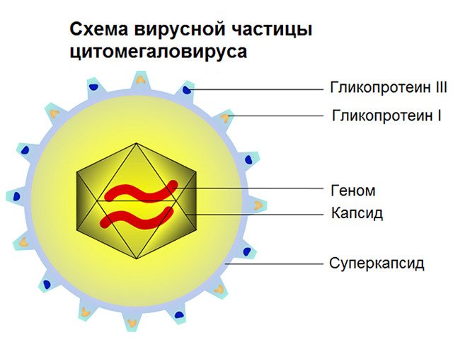 схематичний малюнок