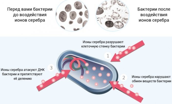 Сіалор (Sialor) для дітей.  Відгуки, інструкція, краплі, аналоги, ціна