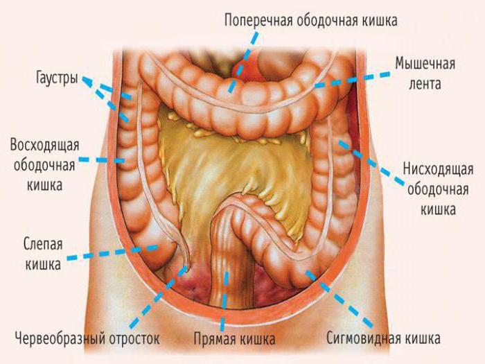 сігмоідіт симптоми